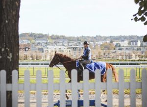 Deauville-horse-rider