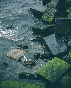san-sebastian-basque-coast