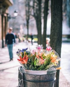 flowers-san-sebastian