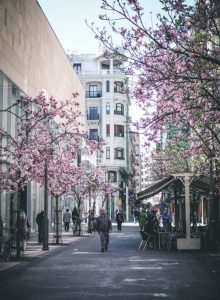 mercado-san-martin-san-sebastian